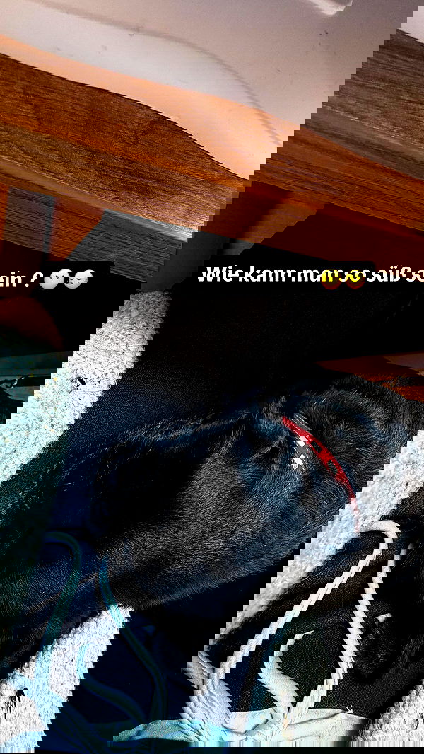 alexis.blond alexis.blond archive image