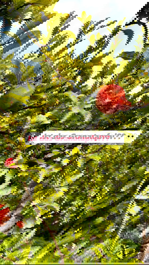 alexis.blond alexis.blond archive image