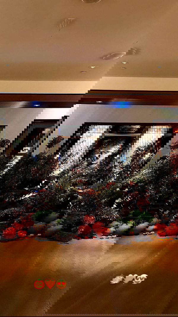 alexis.blond alexis.blond archive image