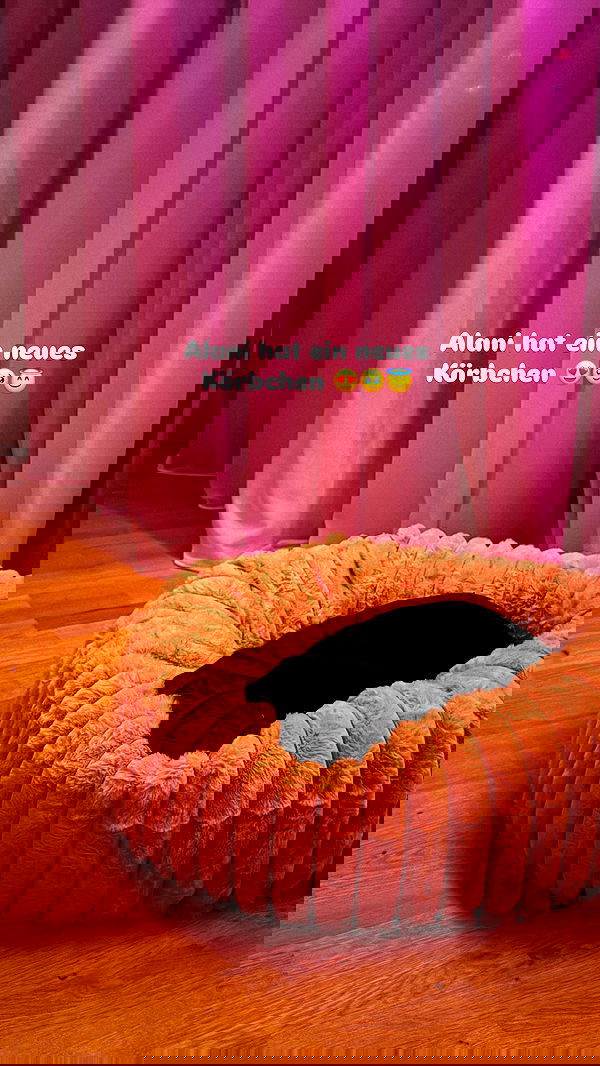 alexis.blond alexis.blond archive image