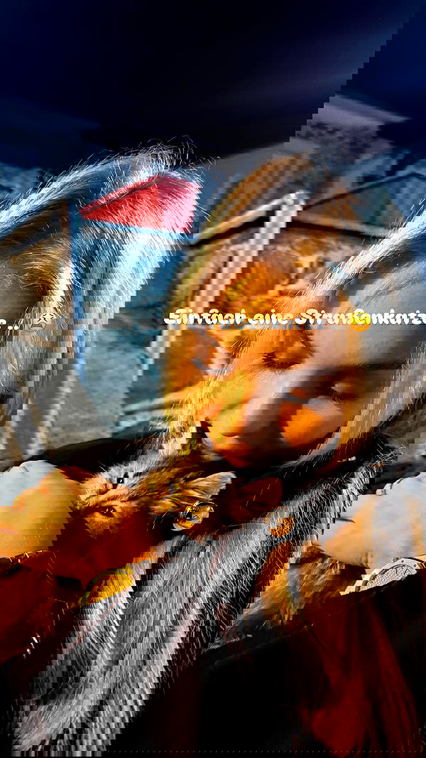 alexis.blond alexis.blond archive image