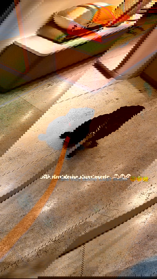 alexis.blond alexis.blond archive image