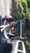 alexis.leth Altpins Profile Picture