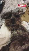 alexuhh_g Altpins Profile Picture