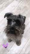 alexuhh_g Altpins Profile Picture