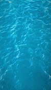 alexuhh_g Altpins Profile Picture