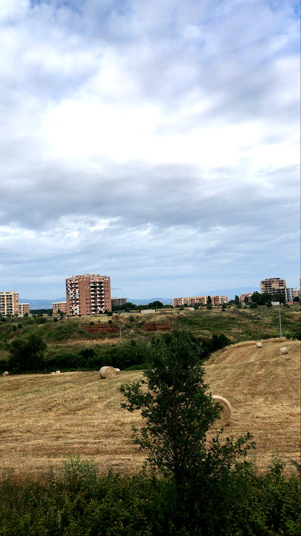 algofobica instagram image archive image