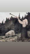 algofobica Altpins Profile Picture