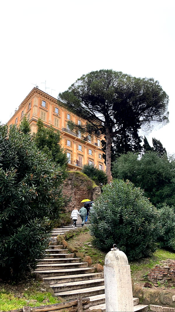 algofobica algofobica archive image