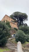 algofobica Altpins Profile Picture