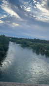 algofobica Altpins Profile Picture