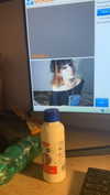 algofobica Altpins Profile Picture