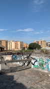 algofobica Altpins Profile Picture