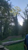 algofobica Altpins Profile Picture