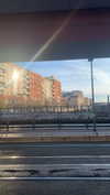 algofobica Altpins Profile Picture