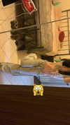 algofobica Altpins Profile Picture