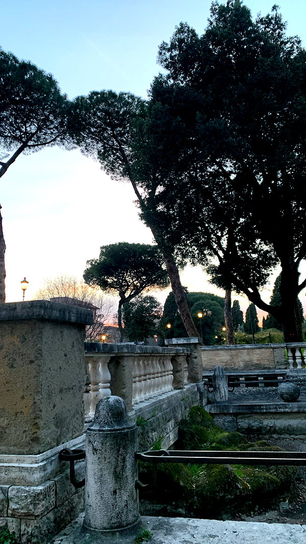 algofobica instagram image archive image