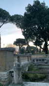 algofobica Altpins Profile Picture