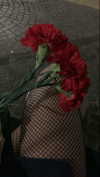 algofobica Altpins Profile Picture