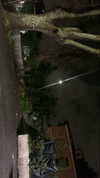 algofobica Altpins Profile Picture