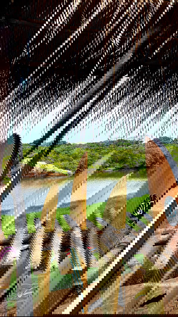 alice.skym alice.skym archive image