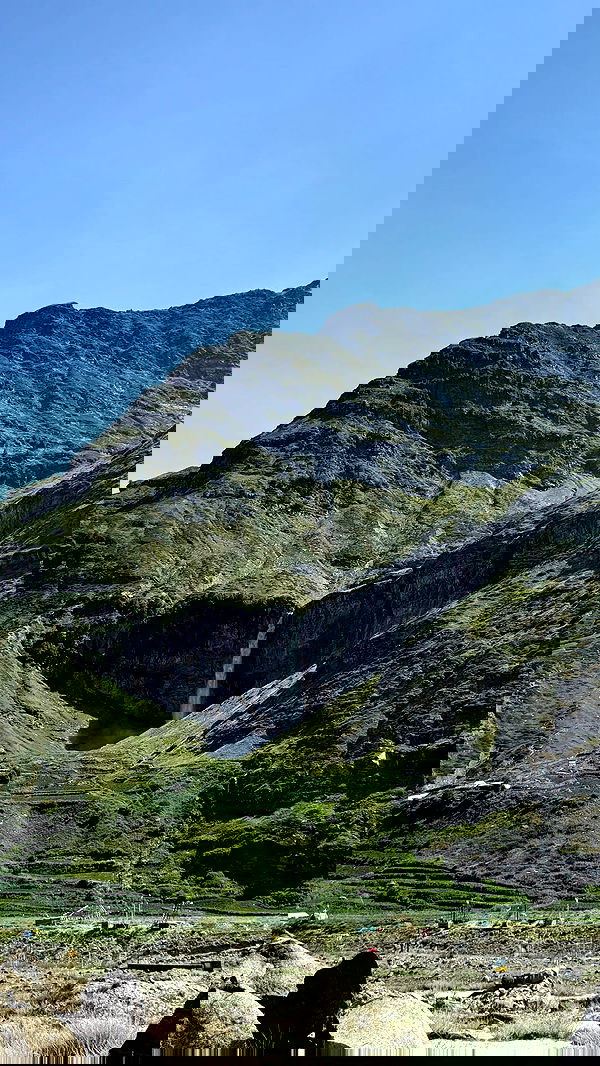 alice.skym alice.skym archive image