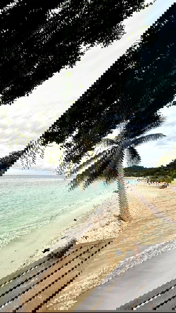 alice.skym alice.skym archive image