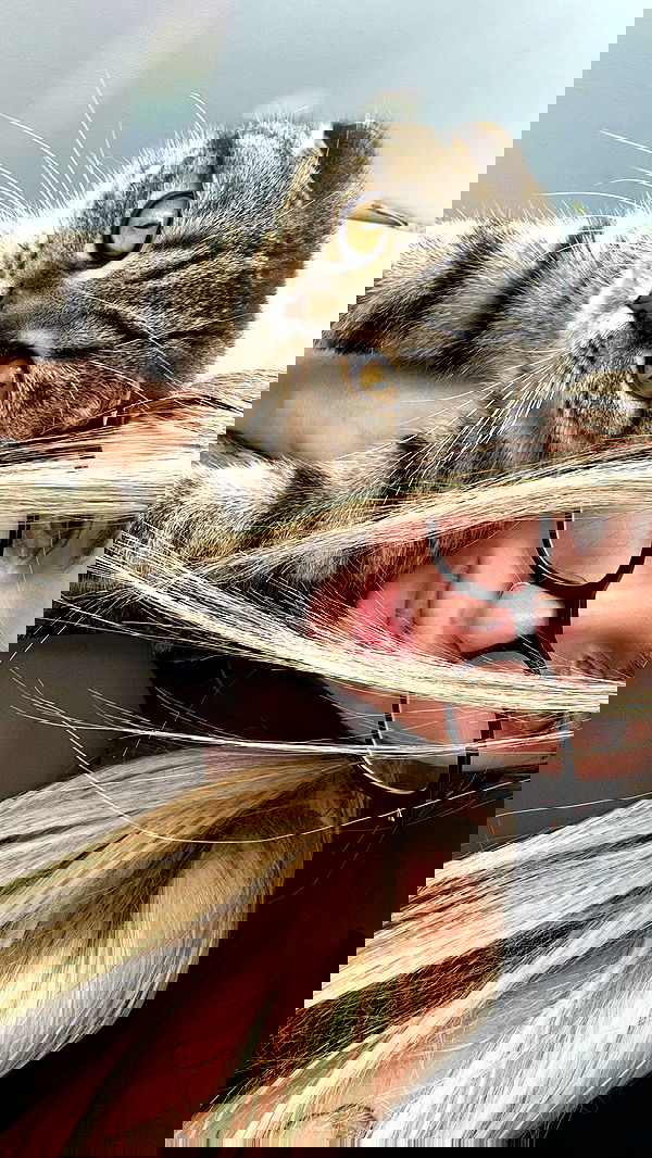 alice.skym alice.skym archive image