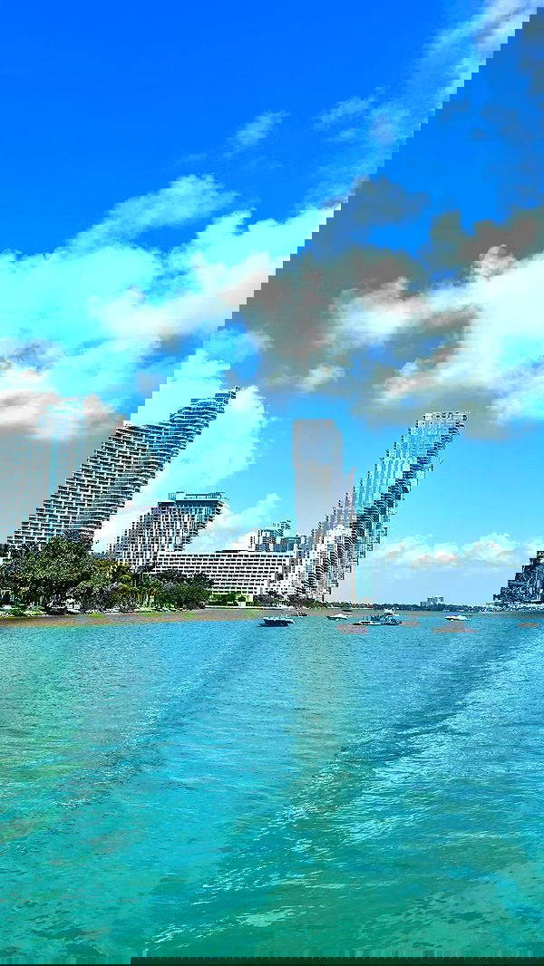 alice.skym alice.skym archive image