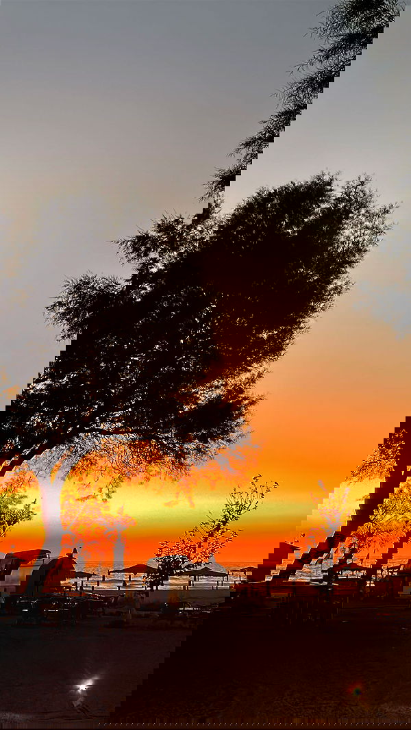 alice.skym alice.skym archive image