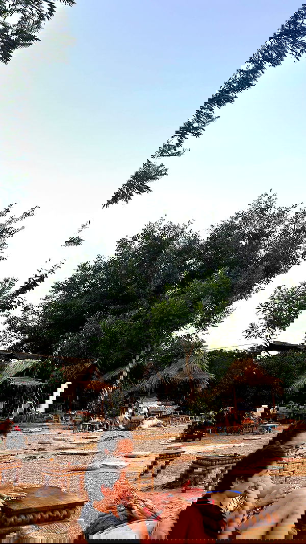 alice.skym alice.skym archive image