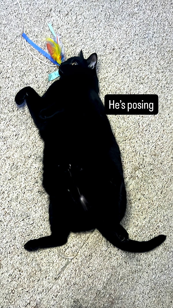 alil.squishy alil.squishy archive image