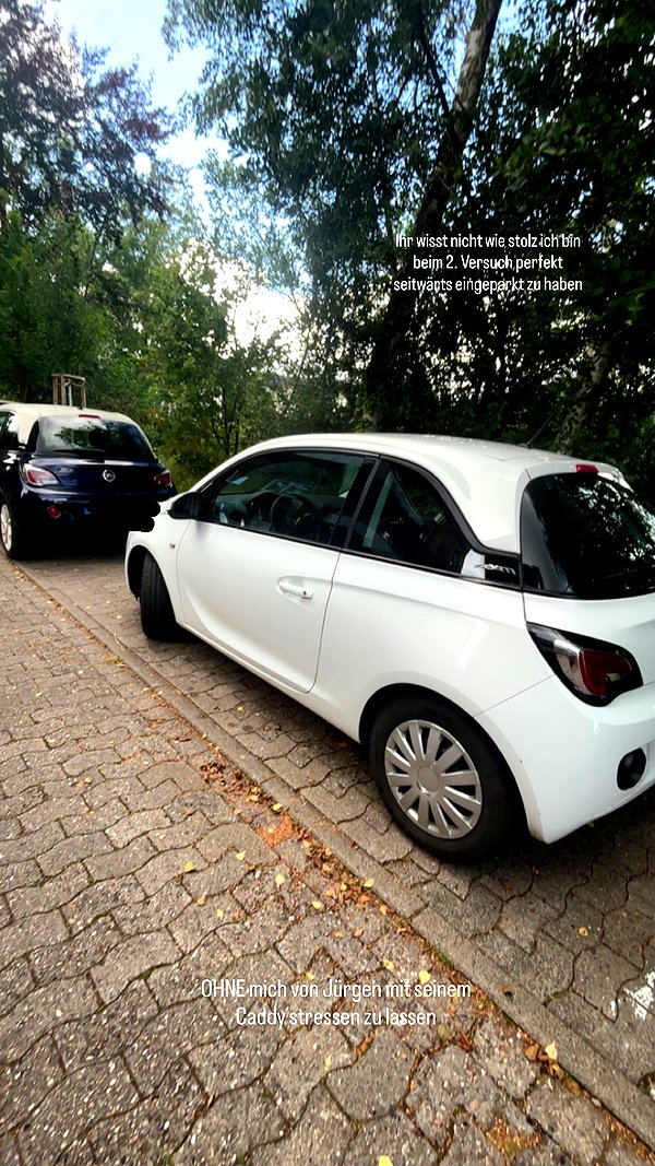 alina_mtsn instagram image archive image