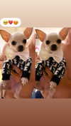 alinaaignatova Altpins Profile Picture