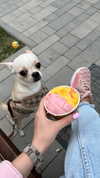 alinaaignatova Altpins Profile Picture