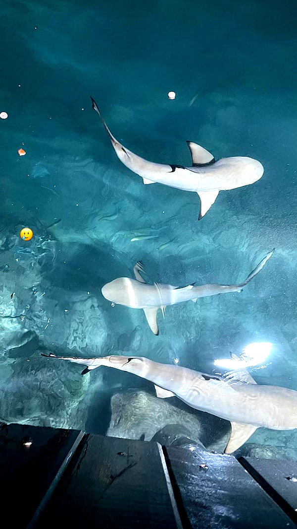 alinaaignatova instagram image archive image