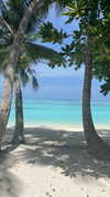 alinaaignatova Altpins Profile Picture