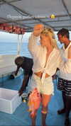 alinaaignatova Altpins Profile Picture