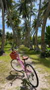 alinaaignatova Altpins Profile Picture