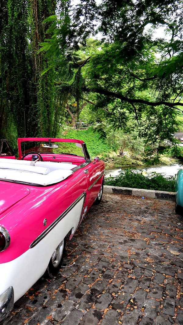 alinaaignatova alinaaignatova archive image