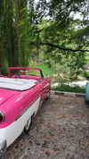 alinaaignatova Altpins Profile Picture