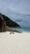 alinaaignatova Altpins Profile Picture