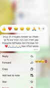 alinshabtay Altpins Profile Picture