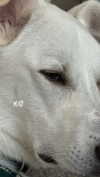 alinshabtay Altpins Profile Picture