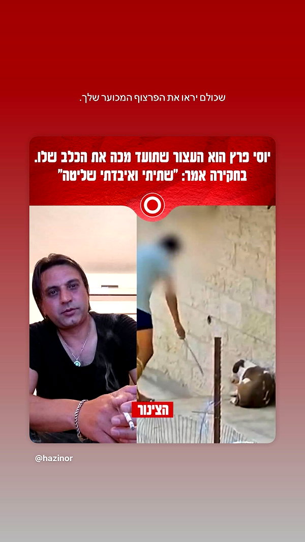 alinshabtay instagram image archive image
