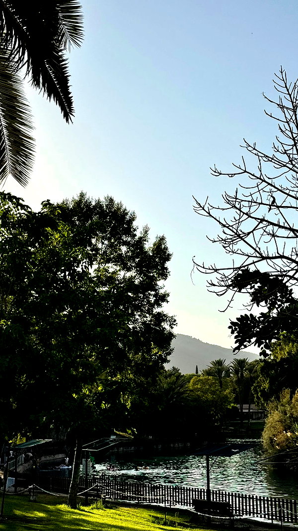 alinshabtay instagram image archive image