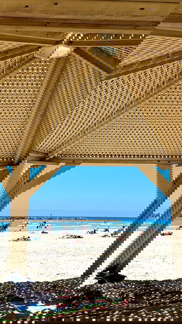 alisa.paigin alisa.paigin archive image