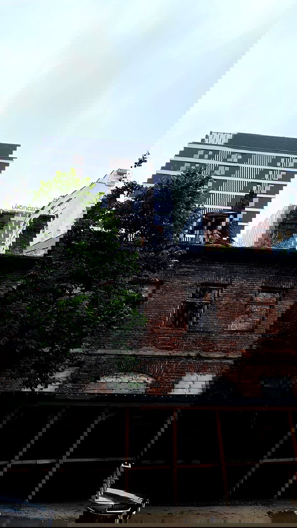 alisa.paigin alisa.paigin archive image