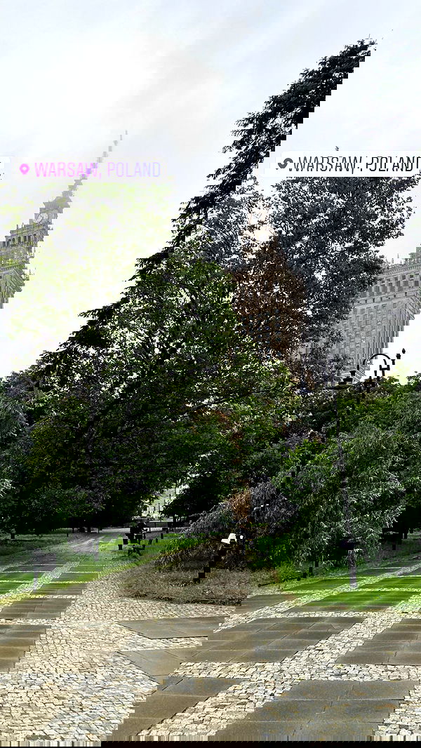 alisa.paigin alisa.paigin archive image