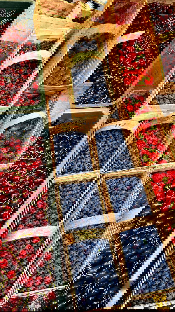 alisa.paigin alisa.paigin archive image